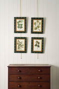 Load image into Gallery viewer, SET of 4 | Vintage English Trowbridge Leaf Prints in Hand Painted Green Check Frame
