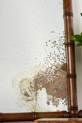 Load image into Gallery viewer, French Faux Bamboo Mirror with Foxing (No. 3)