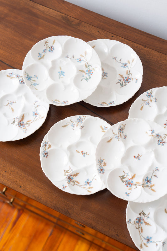 Antique Haviland Limoges Oyster Plate