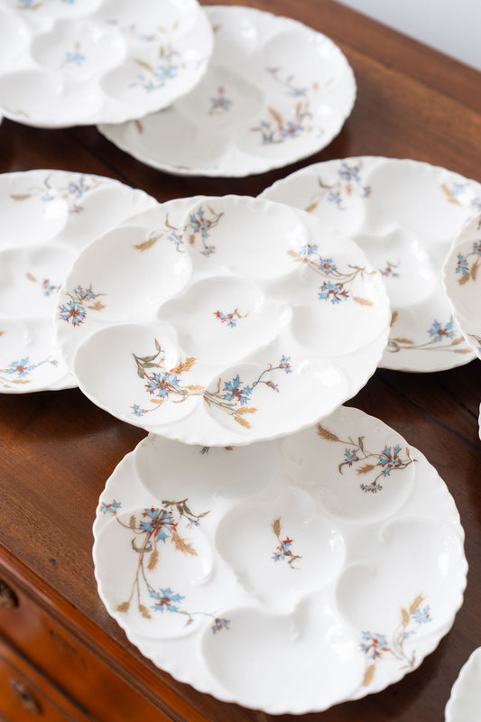 Antique Haviland Limoges Oyster Plate