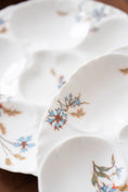 Load image into Gallery viewer, Antique Haviland Limoges Oyster Plate