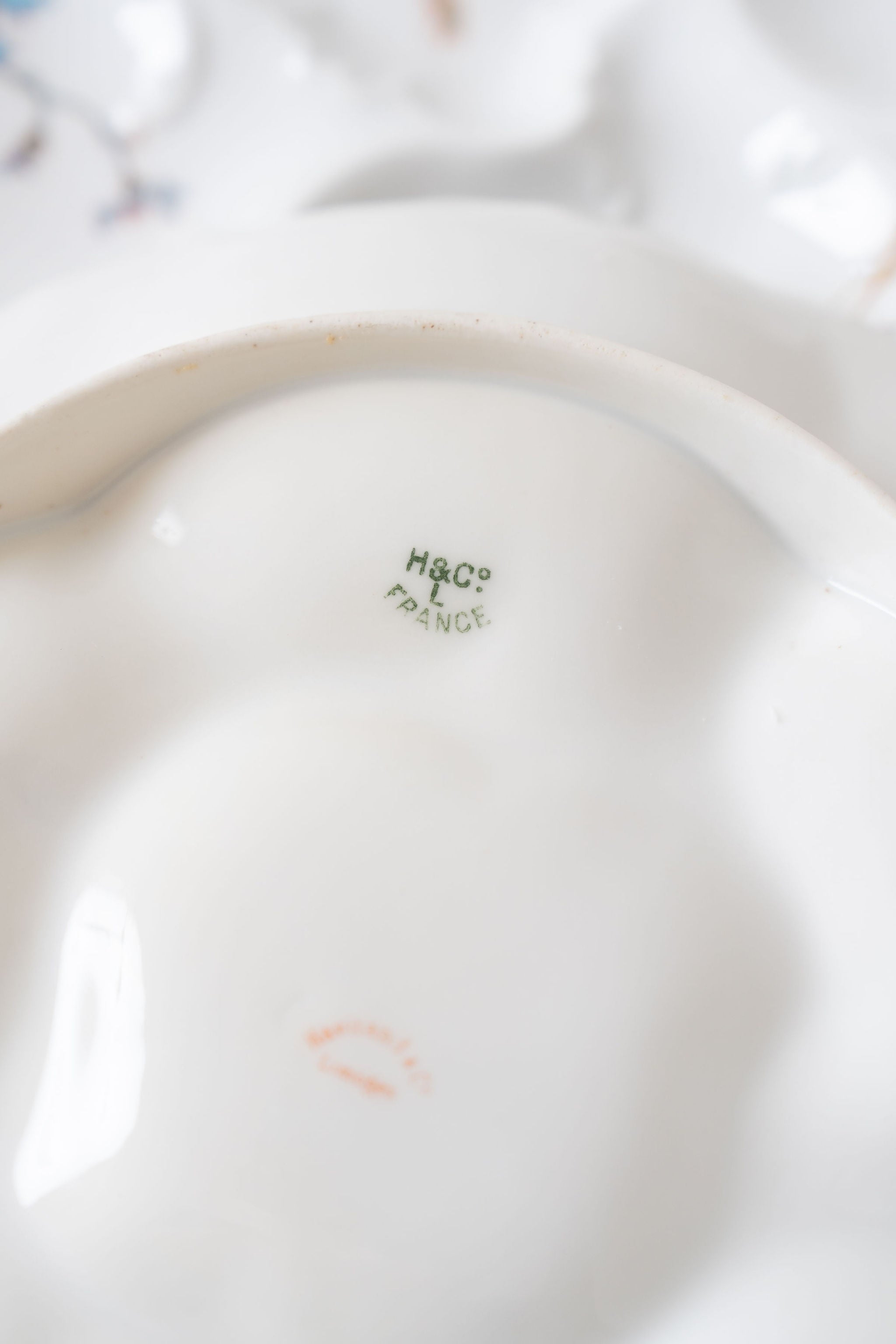 Antique Haviland Limoges Oyster Plate