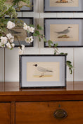Load image into Gallery viewer, Antique Hand Colored Bird Engraving (c. 1865) | in Contemporary Black Bamboo Frame