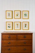 Load image into Gallery viewer, Antique Hand Colored Botanical (c. 1823) | Double Matted + Custom Farrow & Ball 'India Yellow' Frame
