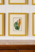 Load image into Gallery viewer, Antique Hand Colored Botanical (c. 1823) | Double Matted + Custom Farrow & Ball 'India Yellow' Frame