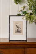 Load image into Gallery viewer, 18th Century Copper Plated Bird Engraving by Buffon in Custom Faux Bamboo Frame (c. 1790)