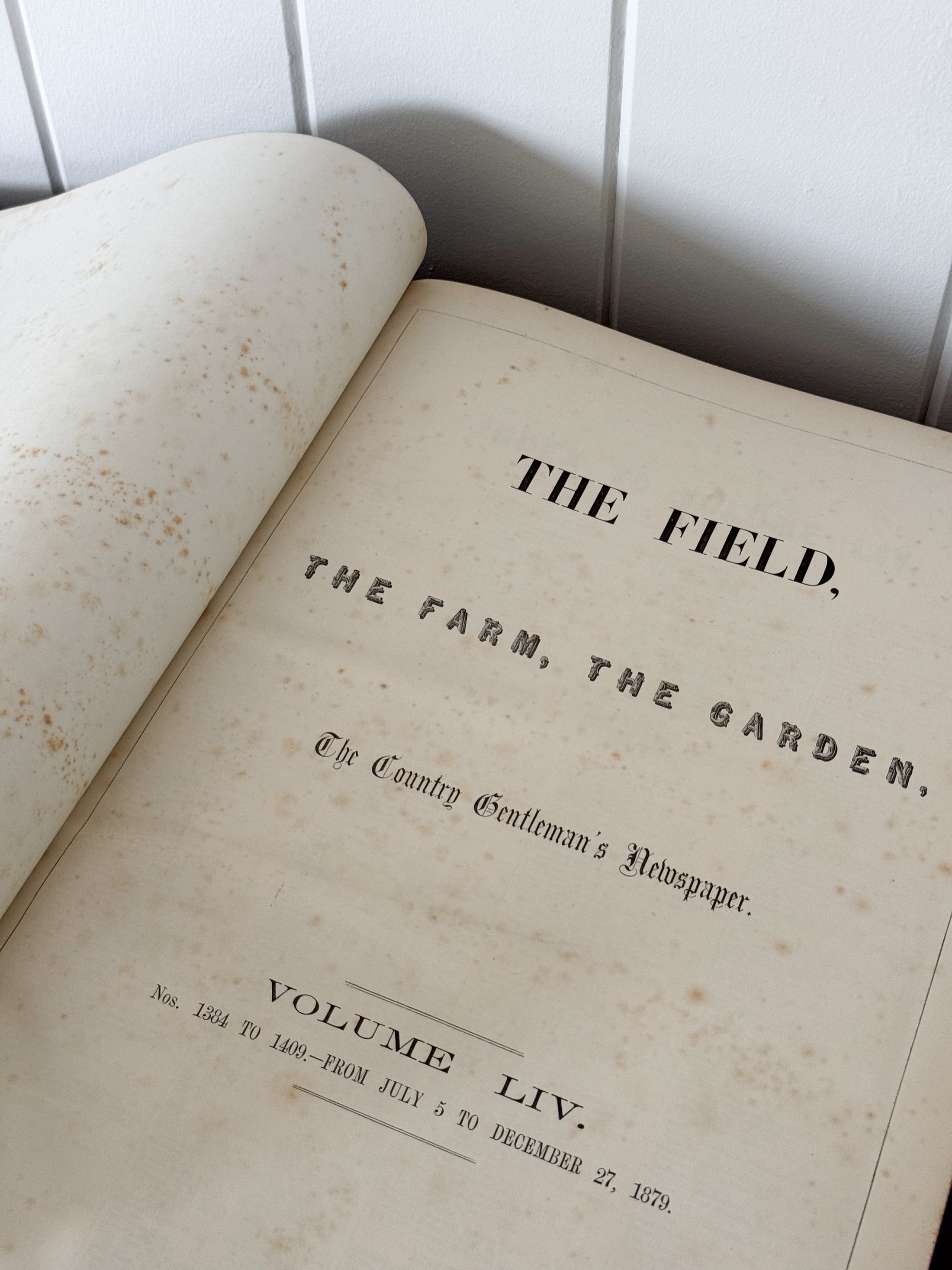 Single Volume of 'THE FIELD' | British Gentlemen's Sporting Magazine (Cognac)
