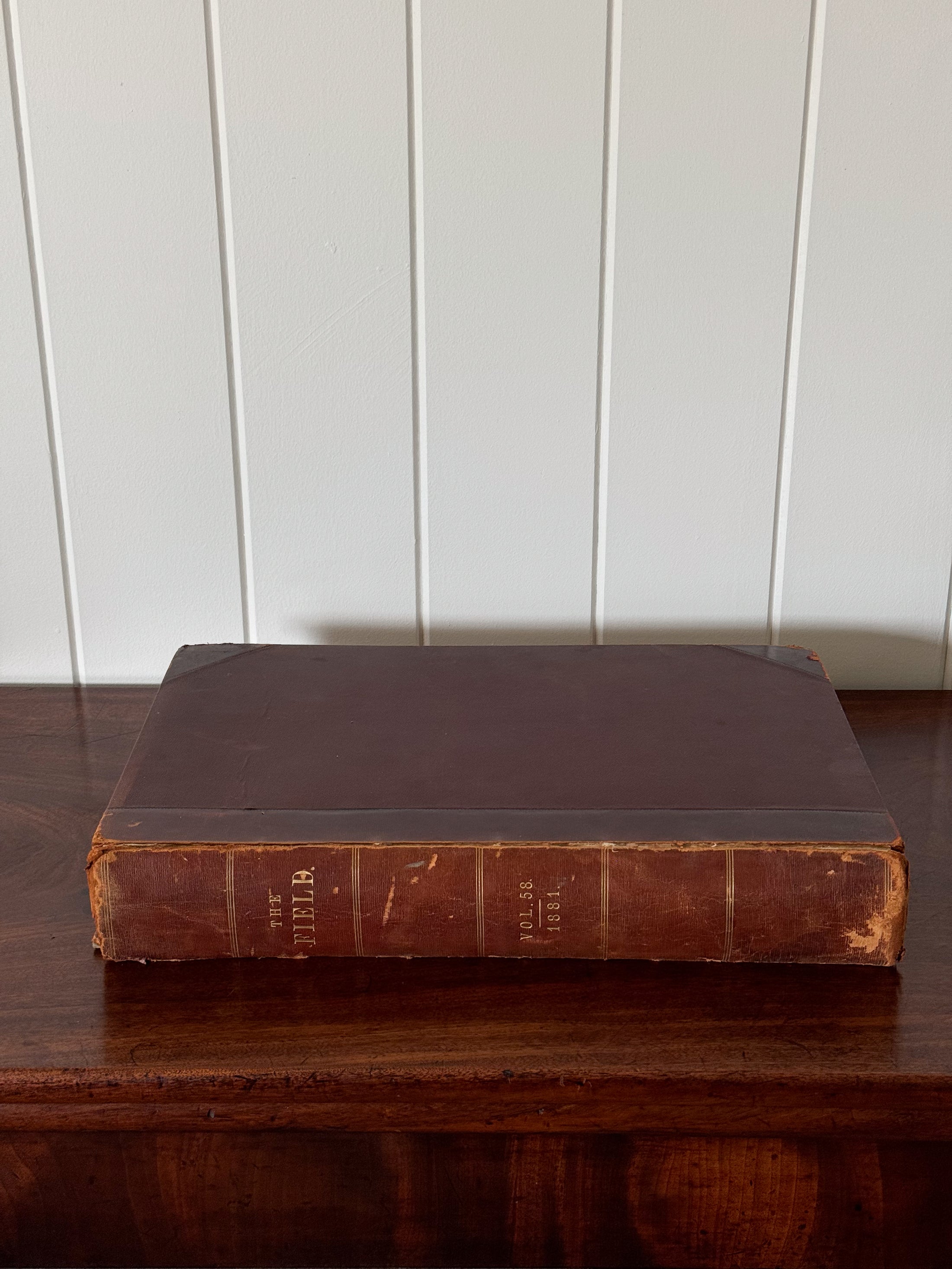 Single Volume of 'THE FIELD' | British Gentlemen's Sporting Magazine (Cognac)