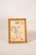 Load image into Gallery viewer, Antique French Framed Herbarium (c. 1857) with Original Glass
