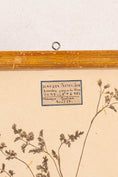 Load image into Gallery viewer, Antique French Framed Herbarium (c. 1857) with Original Glass