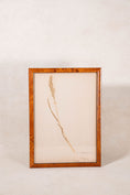 Load image into Gallery viewer, TRIO of Antique Herbarium Grasses (c. 1908) in Custom Burl Wood Frames