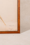 Load image into Gallery viewer, TRIO of Antique Herbarium Grasses (c. 1908) in Custom Burl Wood Frames