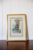 Load image into Gallery viewer, Antique Hand Colored Bird Engraving (c. 1820)
