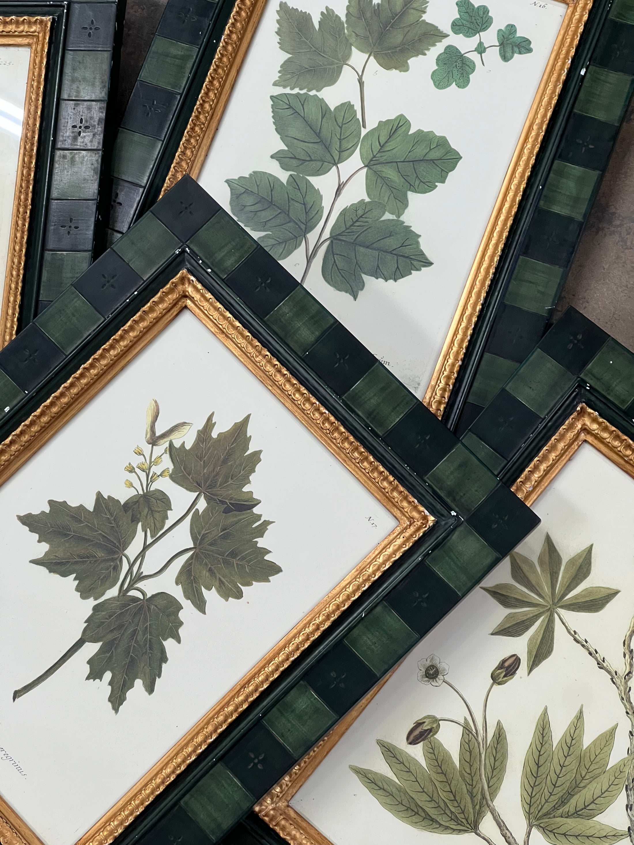 SET of 4 | Vintage English Trowbridge Leaf Prints in Hand Painted Green Check Frame