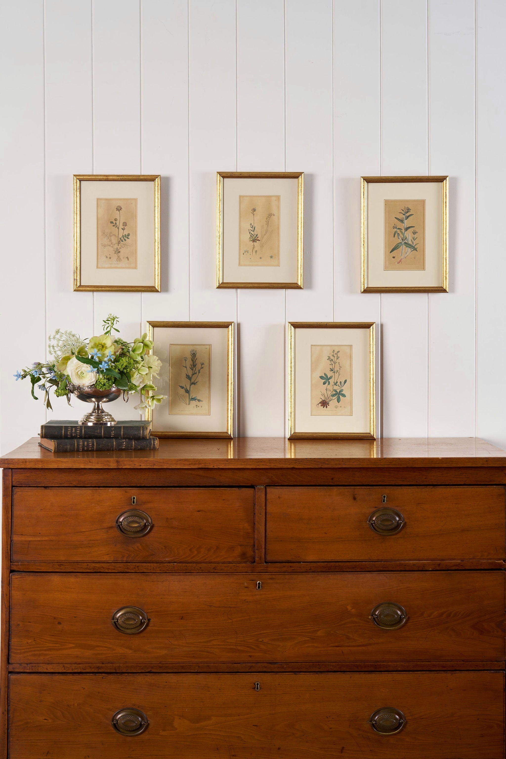 18th Century English Hand Colored Botanical Book Plate (c. 1720) | Framed in the early 1900s