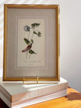 Load image into Gallery viewer, SET of 4 Framed Bird Prints | by John J. Audubon
