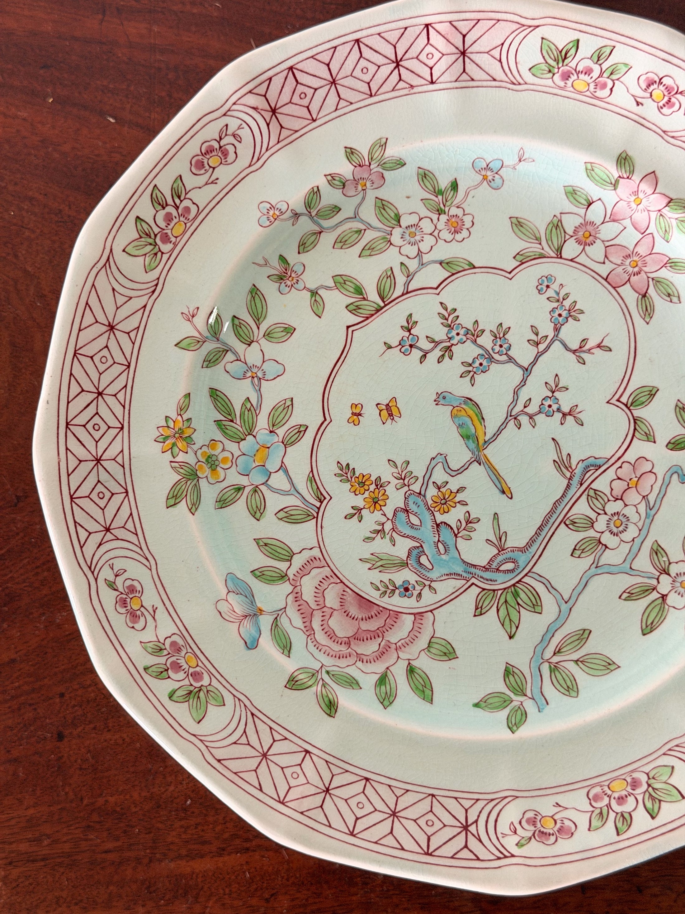 SET of 8 | Vintage English Ironstone ‘Singapore Bird’ Patterned 10” Dinner Plates