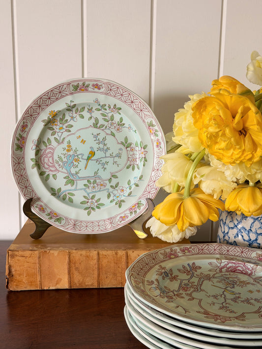 SET of 8 | Vintage English Ironstone ‘Singapore Bird’ Patterned 10” Dinner Plates