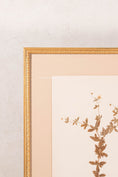 Load image into Gallery viewer, Framed Herbarium (Finland, c. 1928-30) Float Mount in Custom Gold Frame
