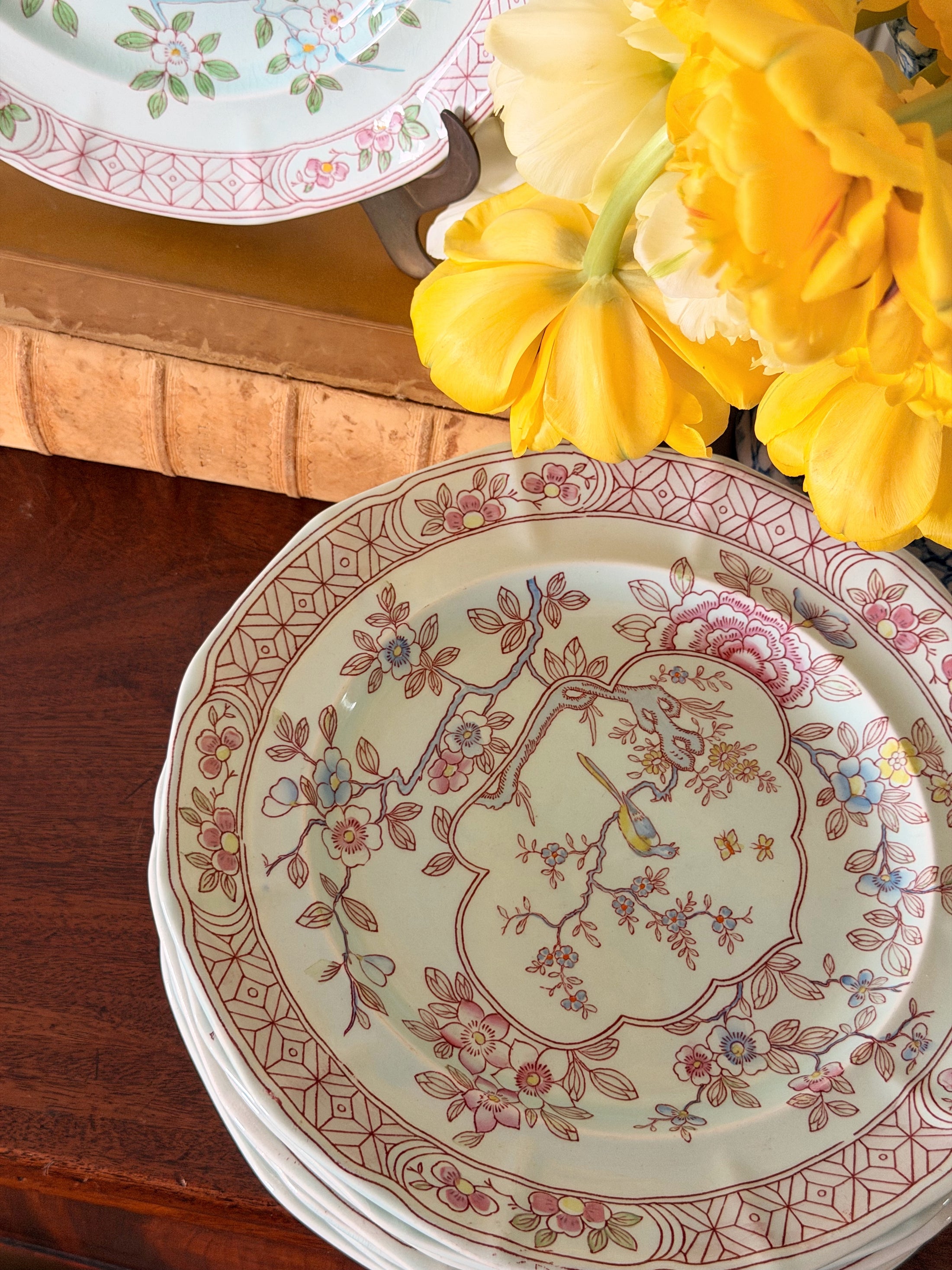 SET of 8 | Vintage English Ironstone ‘Singapore Bird’ Patterned 10” Dinner Plates