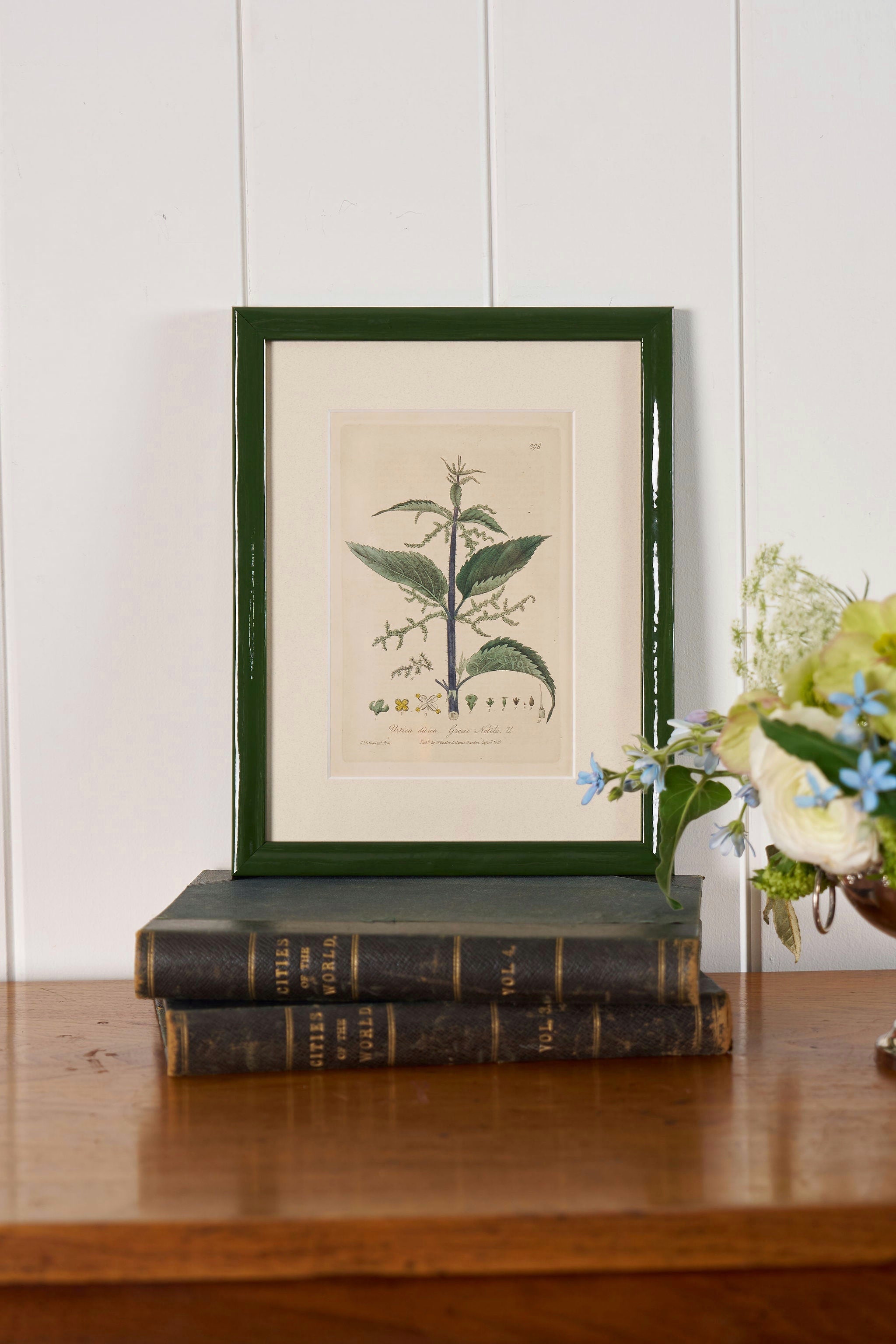 Antique Botanical Hand Colored Bookplates in Contemporary Green Lacquer Frames