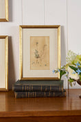 Load image into Gallery viewer, 18th Century English Hand Colored Botanical Book Plate (c. 1720) | Framed in the early 1900s
