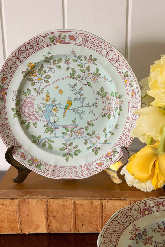SET of 8 | Vintage English Ironstone ‘Singapore Bird’ Patterned 10” Dinner Plates
