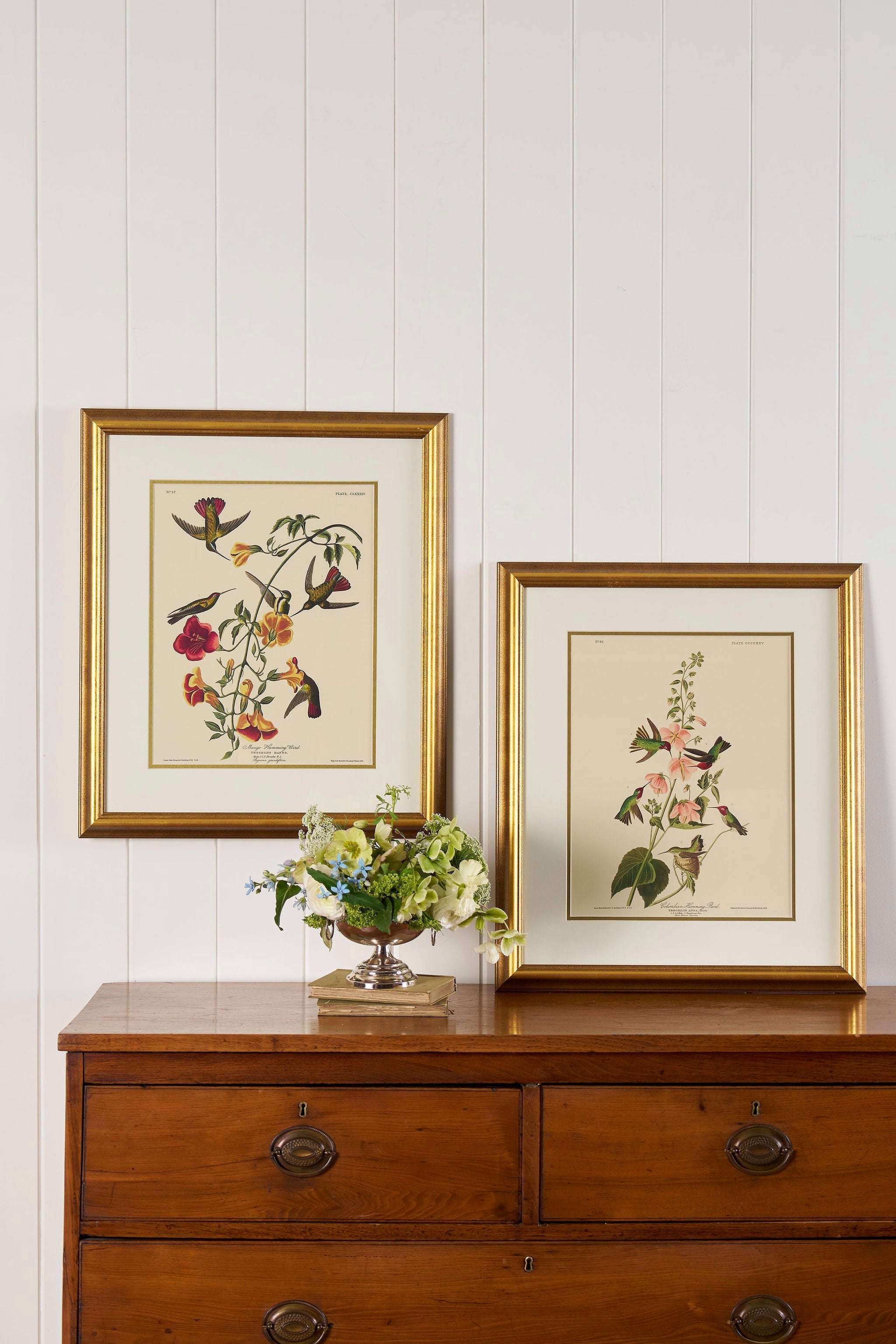 PAIR of Vintage Framed John J. Audubon Hummingbird Prints | "Columbian Hummingbird" + "Mango Hummingbird"