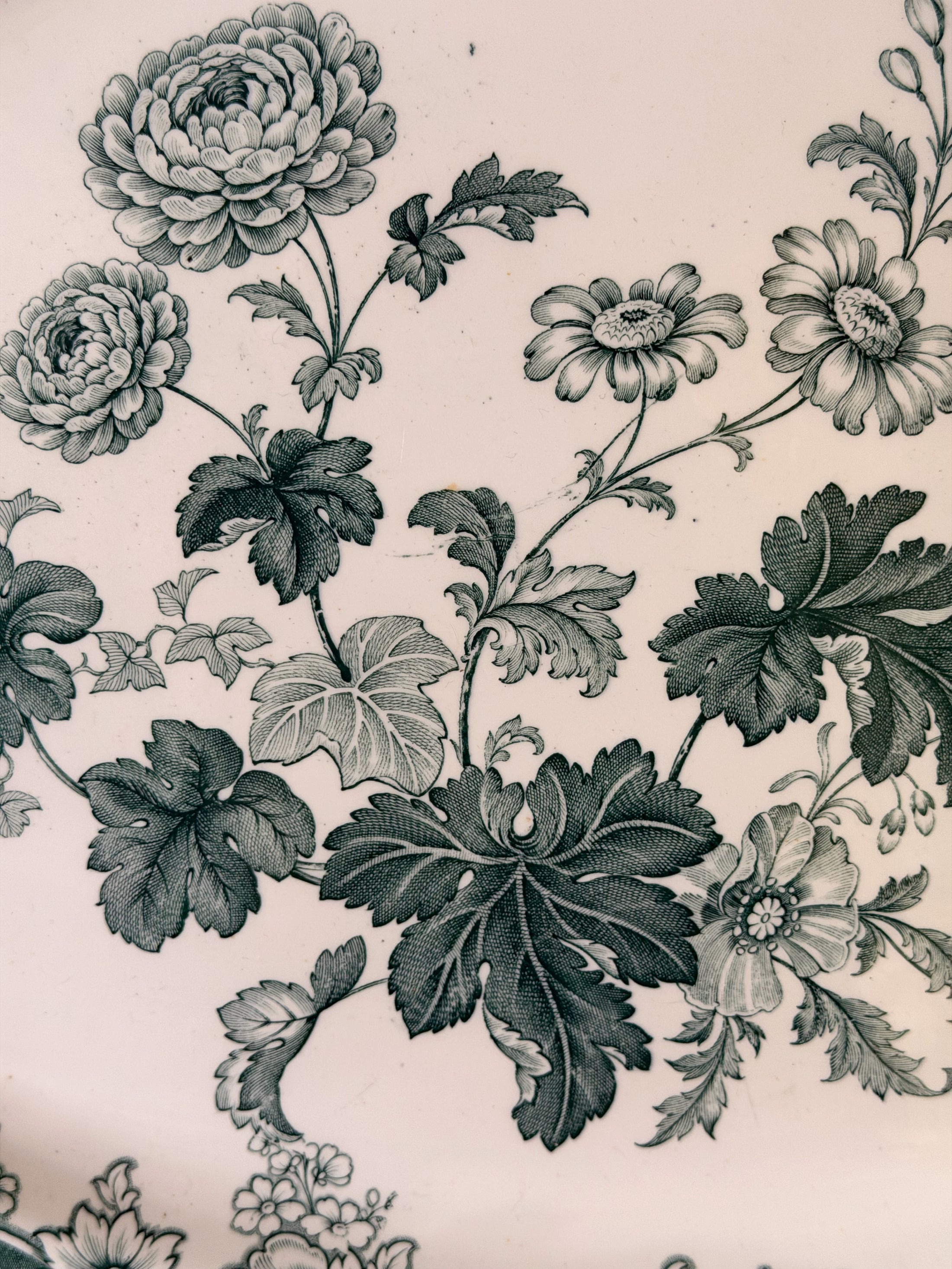 19th Century Large Green Transferware Platter (England; c. 1850)
