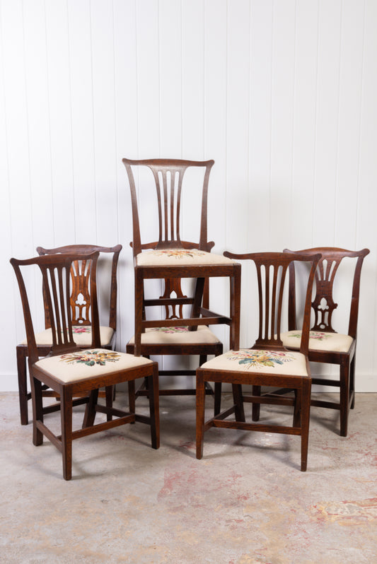 SET of 6 | Georgian Dining Chairs with Needlework Cushions