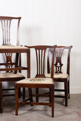 Load image into Gallery viewer, SET of 6 | Georgian Dining Chairs with Needlework Cushions

