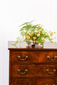 Load image into Gallery viewer, English Mahogany Chest with Ebony Check Inlay Drawer Detail + Swan Neck Handles (c. 1900)
