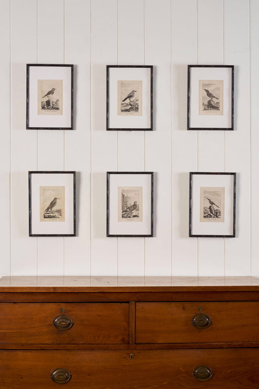 18th Century Copper Plated Bird Engraving by Buffon in Custom Faux Bamboo Frame (c. 1790)