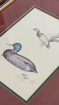 Load image into Gallery viewer, SET of 3 SIGNED Limited Edition Duck Decoy Prints by Jack Hahn
