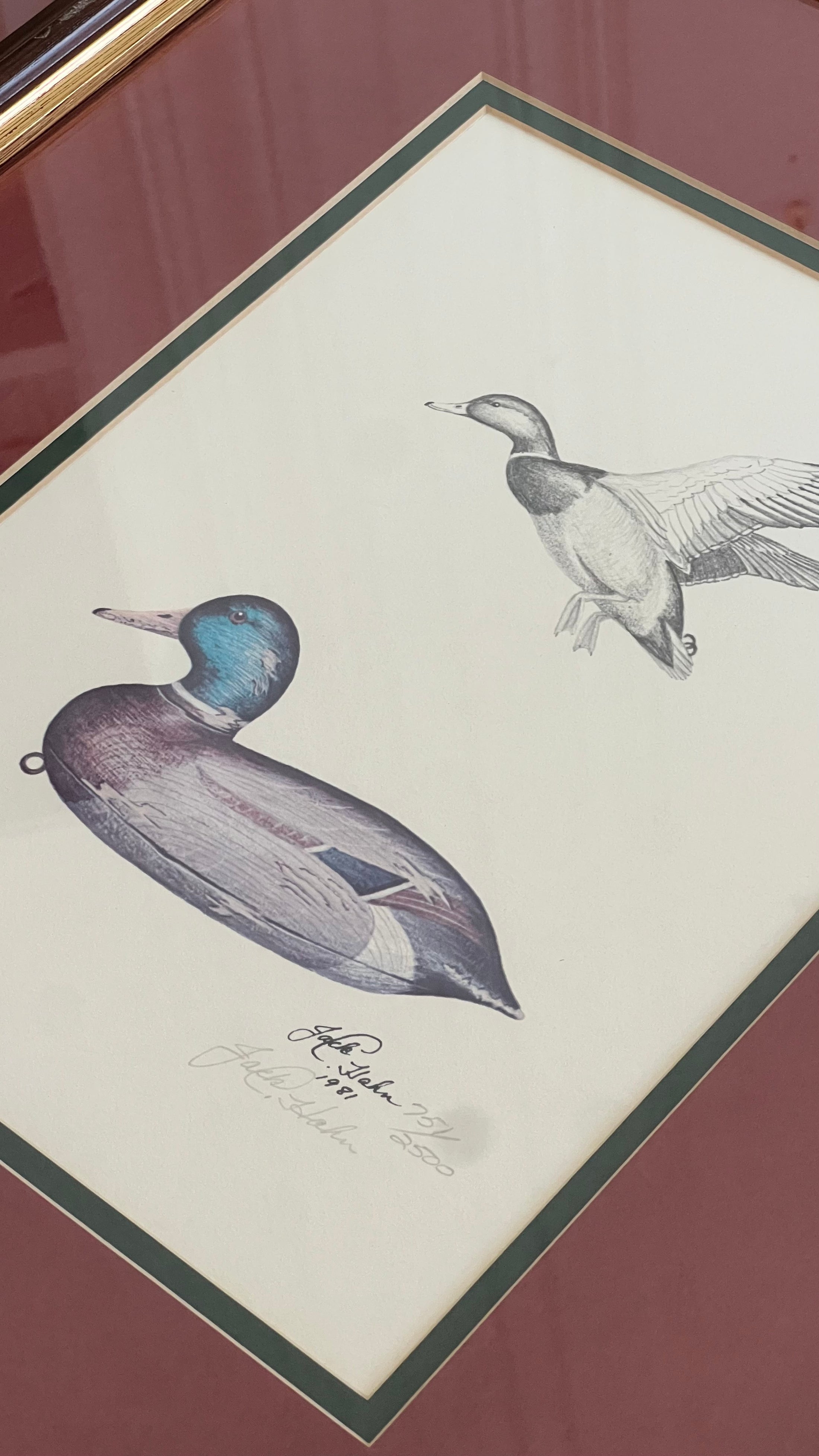 SET of 3 SIGNED Limited Edition Duck Decoy Prints by Jack Hahn