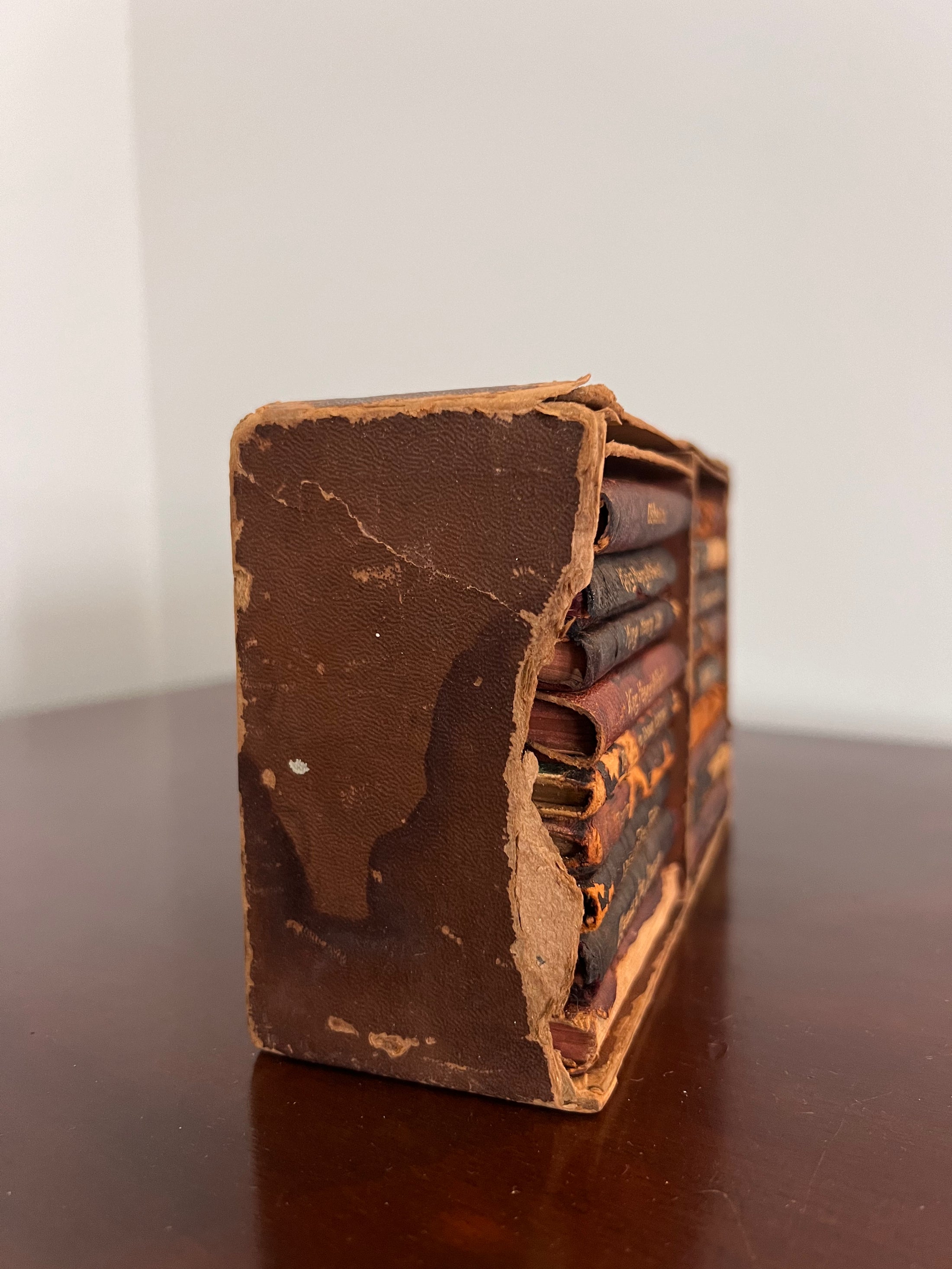 Antique Knickerbocker Leather and Novelty Co. Mini Shakespeare Book Set of 18