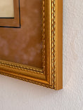 Load image into Gallery viewer, Framed Bird Print by John J. Audubon
