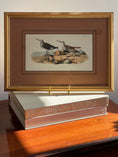 Load image into Gallery viewer, Framed Bird Print by John J. Audubon

