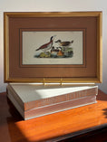 Load image into Gallery viewer, Framed Bird Print by John J. Audubon
