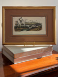 Load image into Gallery viewer, Framed Bird Print by John J. Audubon
