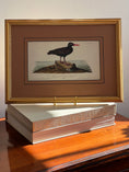 Load image into Gallery viewer, Framed Bird Print by John J. Audubon
