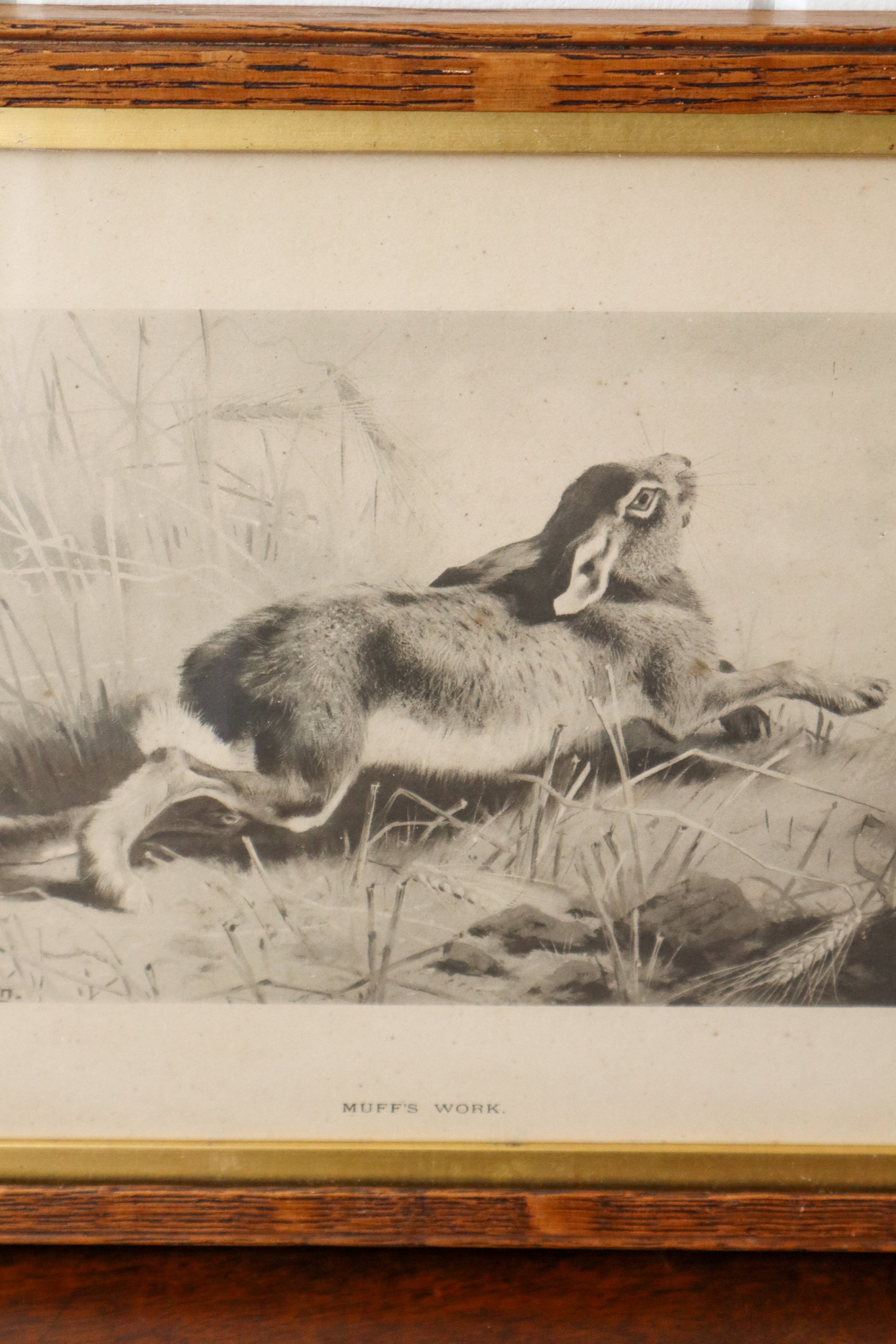 'Muff's Work' Antique English Hare Print in Oak Frame