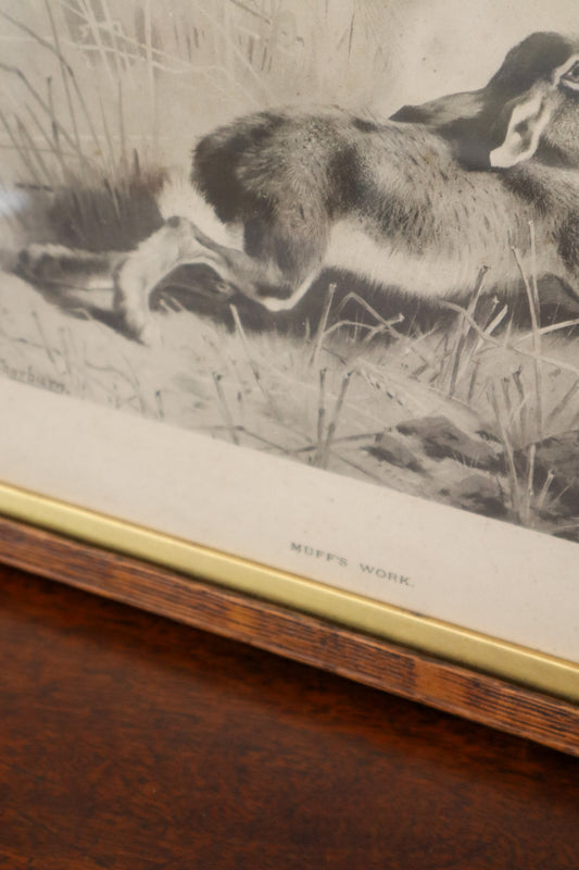 'Muff's Work' Antique English Hare Print in Oak Frame