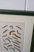 Load image into Gallery viewer, Antique Caterpillar Print in Contemporary Green Lacquer Frame
