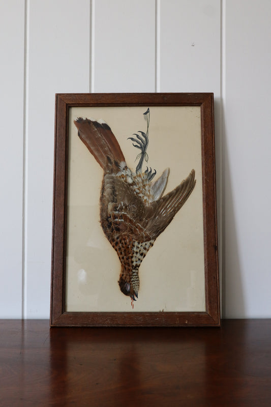 Antique Bird Feather Art (c. 1900)