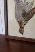 Load image into Gallery viewer, Antique Bird Feather Art (c. 1900)
