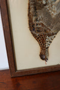 Load image into Gallery viewer, Antique Bird Feather Art (c. 1900)
