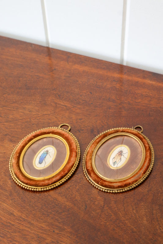 PAIR of Antique Miniature Handpainted Insects on Silk in Chocolate Velvet Frames