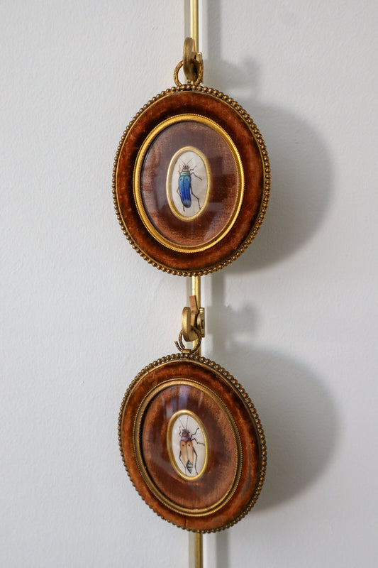 PAIR of Antique Miniature Handpainted Insects on Silk in Chocolate Velvet Frames