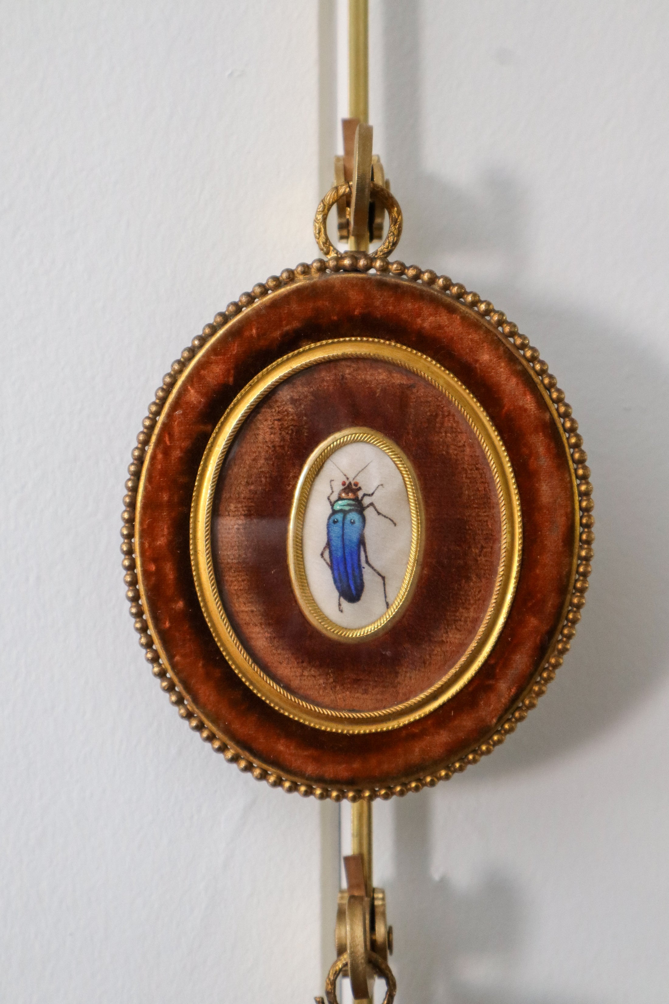 PAIR of Antique Miniature Handpainted Insects on Silk in Chocolate Velvet Frames